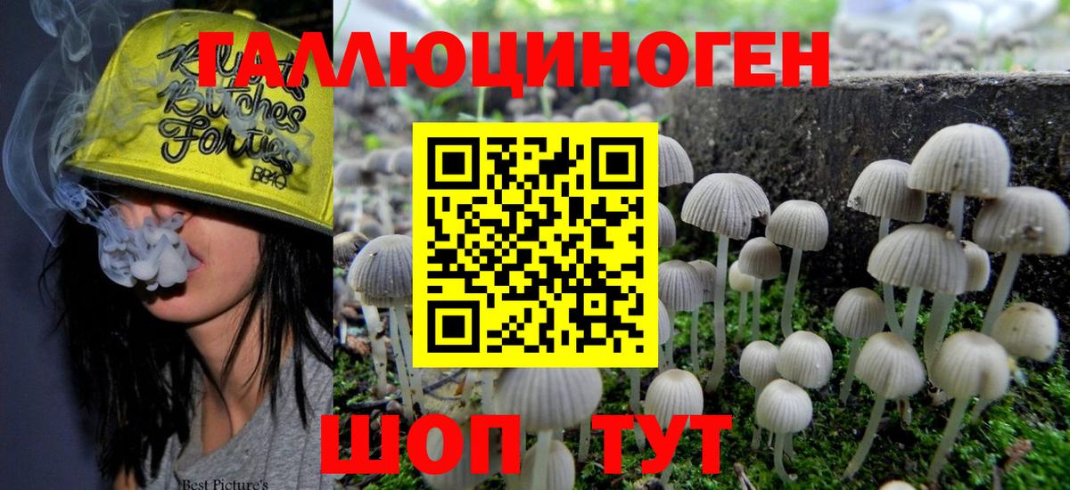 Галлюциногенные грибы Cubensis  Вход с VPN  Псков 