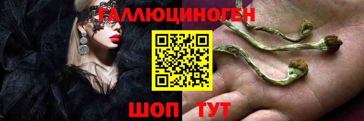Псилоцибиновые грибы GOLDEN TEACHER Псков